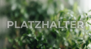 Platzhalter2
