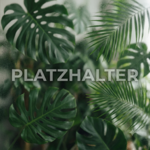 Platzhalter3